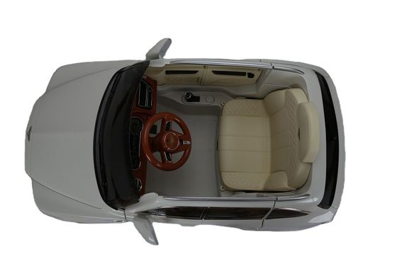 Plastico 6v o 12v Electric Ride en el coche con control remoto de la Autorizada