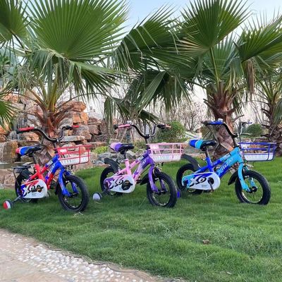 Cuadro de acero carbono de 12 pulgadas montado en juguete N.W de 8 kg y adecuado para bebés de 2 a 7 años